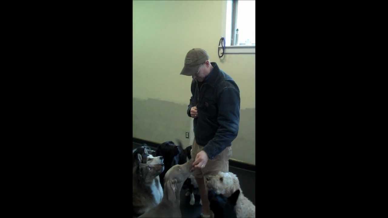 Hand Targeting Video