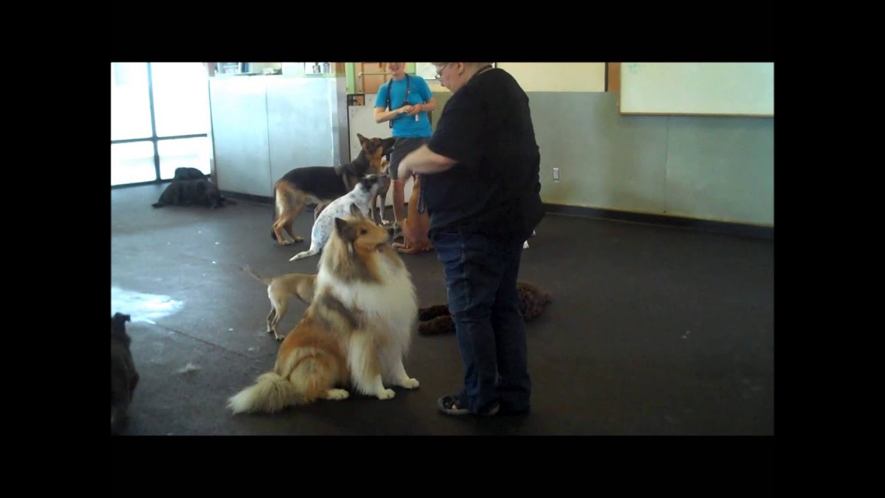 Around -  July Behavior of the Month