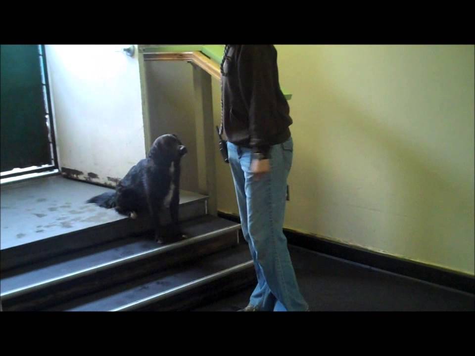 Targeting a Mat or Place