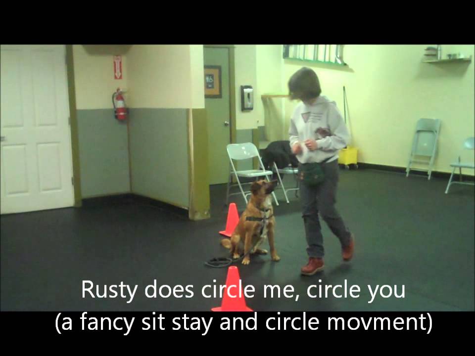 Doggy Business LLC Tricks 2