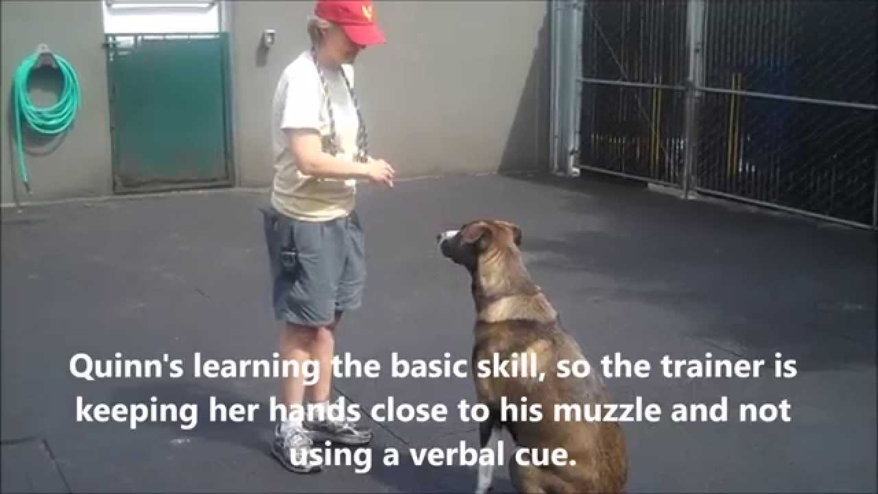 June Behavior of the Month - Targeting