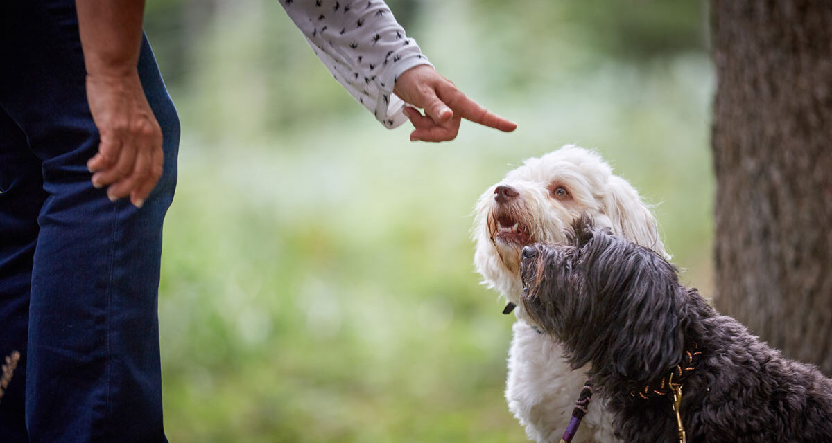 Training Basics – How Animals Learn by Doug Duncan, MA, CTC, CPDT-KA, CBCC-KA