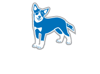 https://www.doggybusiness.net/wp-content/uploads/2023/05/DB-footer-logo.png